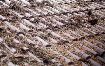 Liverton roof cleaning companies