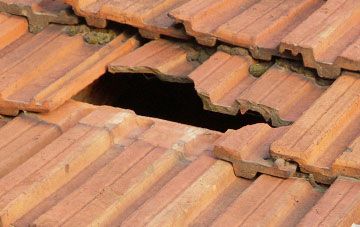 roof repair Liverton